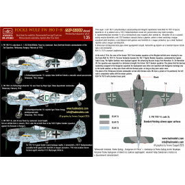 HADモデル DW-AP35003 1/35 FW 190 F-8 (グリーンC, ブラック2, ホワイト34) デカールシート