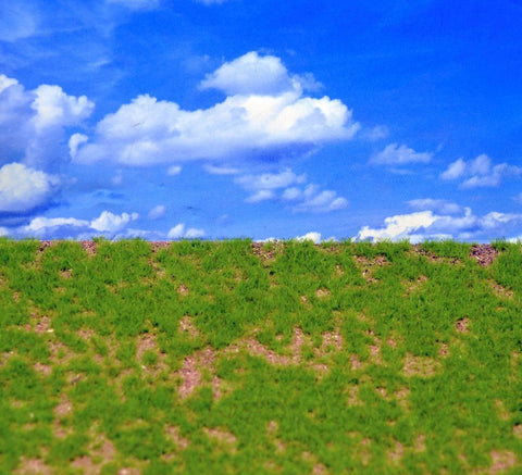 リアリティインスケール MAT03 ランドスケープマット(野草の草原3)