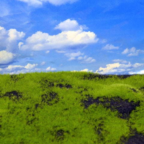 リアリティインスケール MAT10 ランドスケープマット(起伏のある草原4)