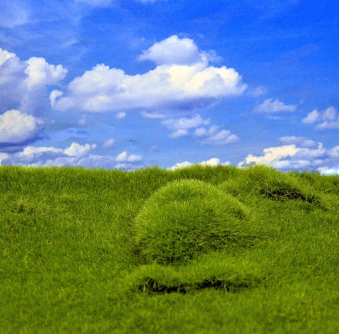 リアリティインスケール MAT11 ランドスケープマット(起伏のある地面&背の揃った草原)