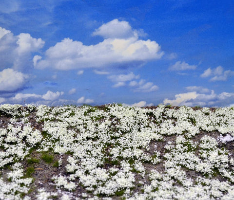 リアリティインスケール MAT19 ランドスケープマット(降雪した草原)