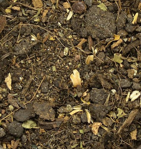 リアリティインスケール BAS03 グランドベース ダークブラウン