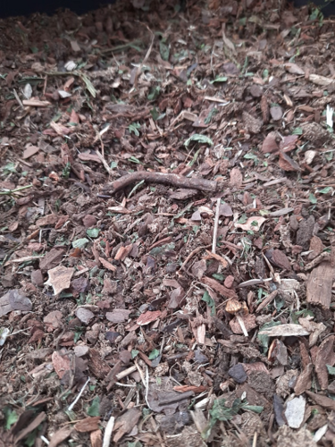 リアリティインスケール BAS05 1/35 爆撃を受けた森林