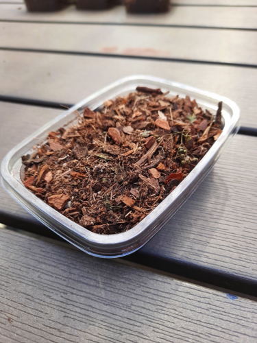 リアリティインスケール BAS05 1/35 爆撃を受けた森林