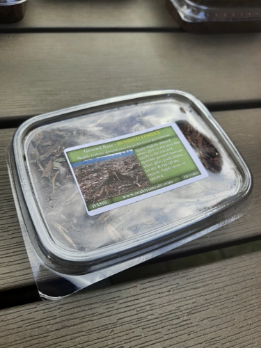 リアリティインスケール BAS05 1/35 爆撃を受けた森林