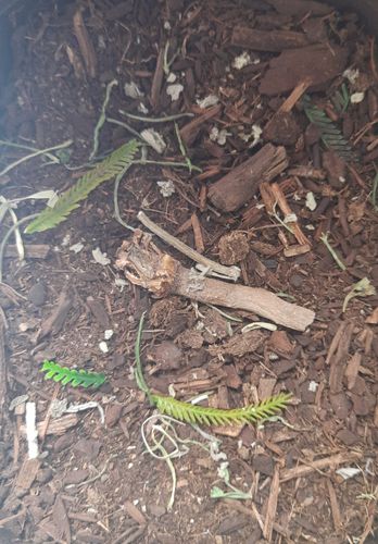 リアリティインスケール BAS06 1/35 森林の床 - 125ml 超詳細な風景散布