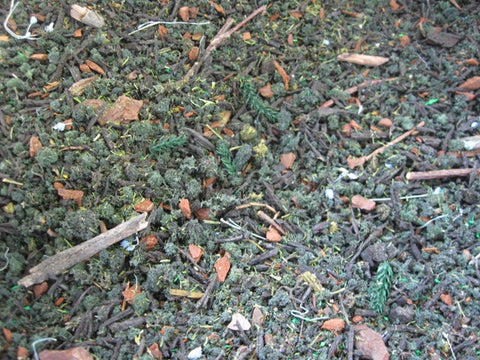 リアリティインスケール FOR05 暗い針葉樹林の地面 50ml