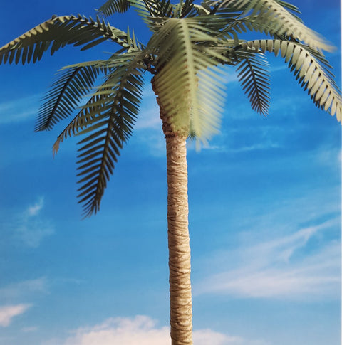 リアリティインスケール PLM05 1/35 一般的なパーム