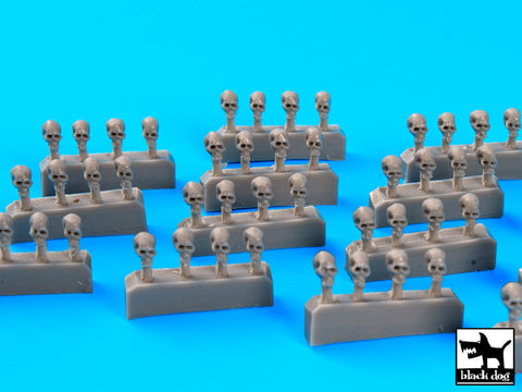 ブラックドッグ D72020 1/72 スカル