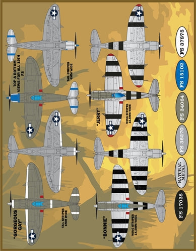 ファーボール F/D&S-4831 1/48 P-47 カラーリングとマーキング パート3