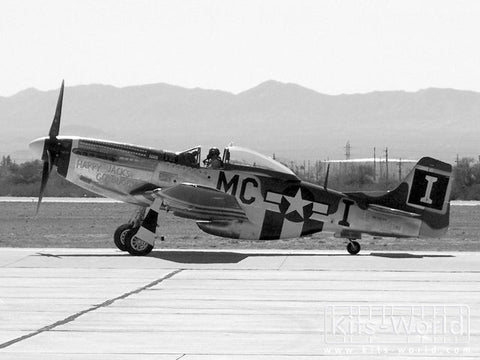 キッツワールド KW132026 1/32 WWII アメリカ空軍 P-51D マスタング 第20戦闘群 第77飛行隊/第79飛行隊 `June Nite` & `Happy Jacks Go Buggy