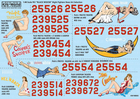 キッツワールド KW148003 1/48 WWII アメリカ陸軍 P-61 ブラック・ウィドウ