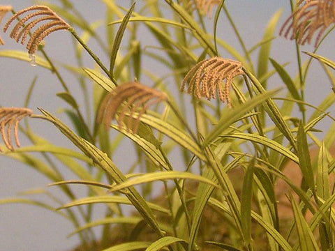 紙創り A-13 1/35 アシ