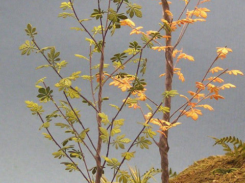 紙創り A-14 1/35 マロニエ