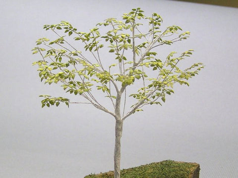 紙創り A-18 1/35 白 樺