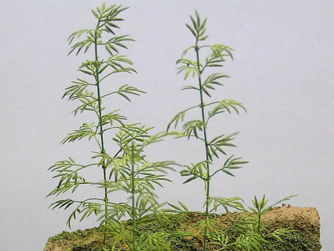 紙創り A-19 1/35 メダケ