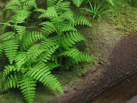 紙創り A-28 1/35 シダⅡ