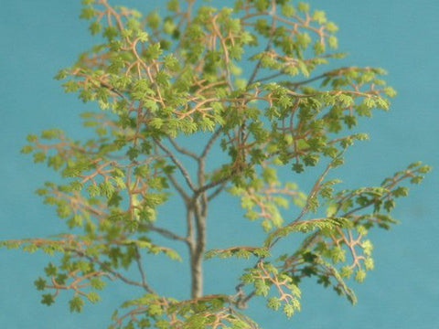 紙創り A-6-35 1/35 メープル