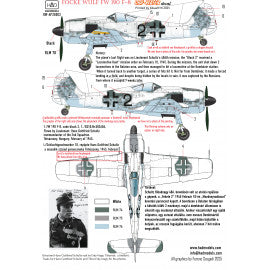 HADモデル DW-AP35003 1/35 FW 190 F-8 (グリーンC, ブラック2, ホワイト34) デカールシート
