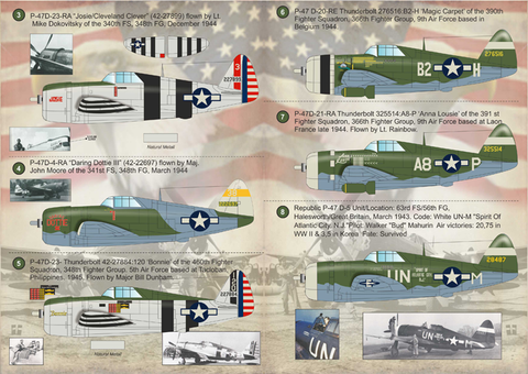 プリントスケール 72-173 1/72 サンダーボルト P47D レイザーバック エース
