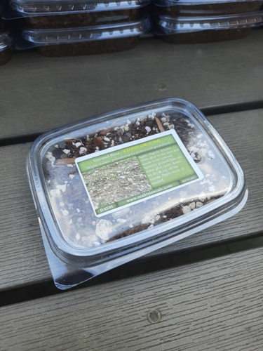 リアリティインスケール BAS04 1/35 石の多い地面