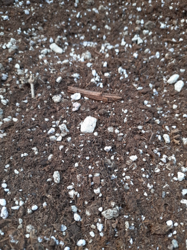 リアリティインスケール BAS04 1/35 石の多い地面