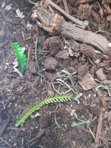 リアリティインスケール BAS06 1/35 森林の床 - 125ml 超詳細な風景散布