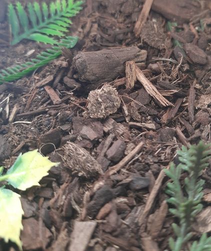 リアリティインスケール BAS07 1/35 ジャングルの森林の床 - 125ml 超詳細な風景散布