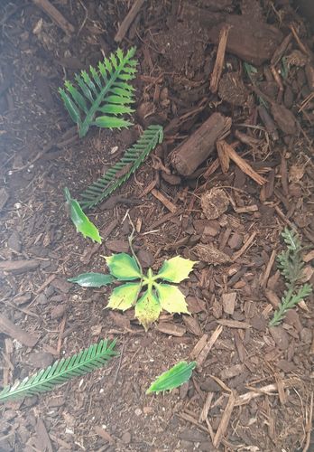 リアリティインスケール BAS07 1/35 ジャングルの森林の床 - 125ml 超詳細な風景散布