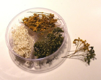 リアリティインスケール FLOW02 1/35 スモールフラワーA 3種