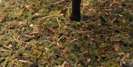 リアリティインスケール FOR02 緑の森林地帯の地面 40ml