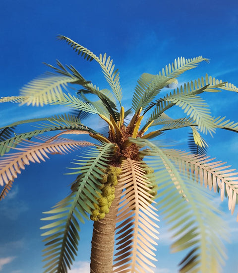 リアリティインスケール PLM01 1/35 ココヤシ 1