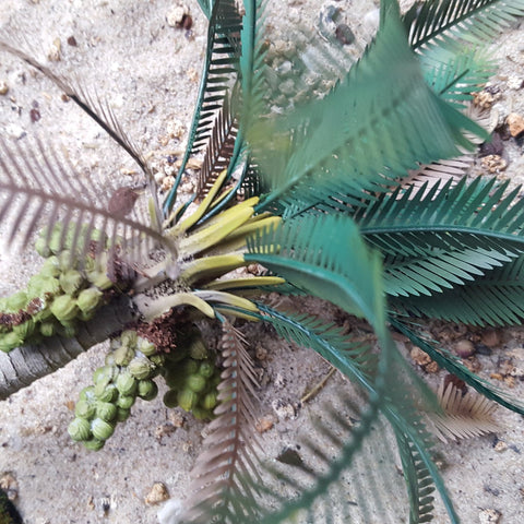 リアリティインスケール PLM02 1/35 横たわったココヤシ