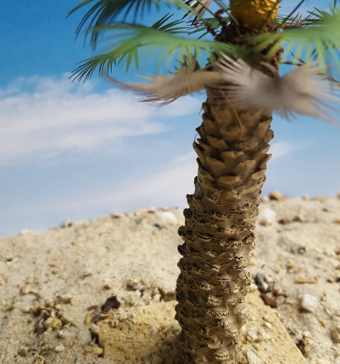 リアリティインスケール PLM11 1/35 厚いデザート ファン パーム