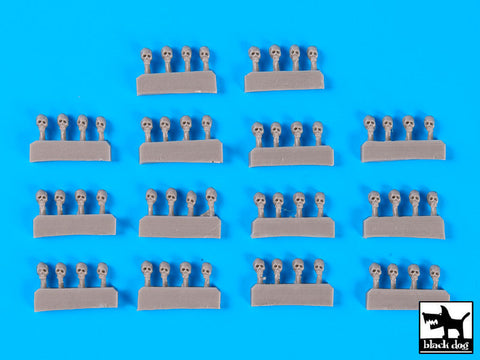 ブラックドッグ D72020 1/72 スカル