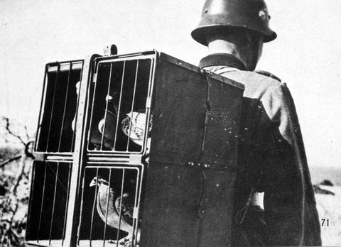 ハウラー HLU35032 1/35 ドイツの戦争鳩 エッチングパーツ&レジンセット