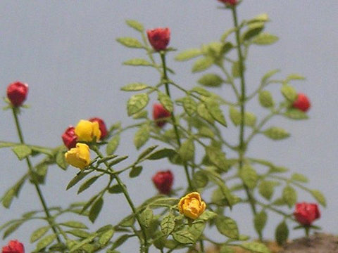 紙創り A-2-48 1/48 バラ