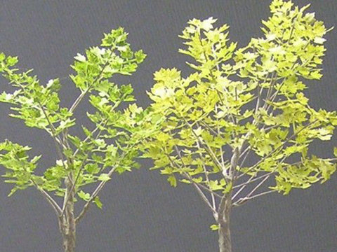 紙創り A-23T 1/35 プラタナス