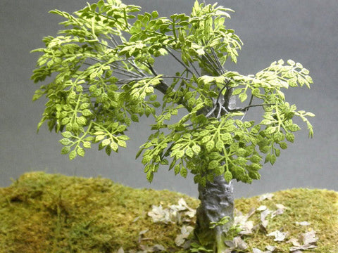 紙創り A-34 1/35 雑木Ⅱ