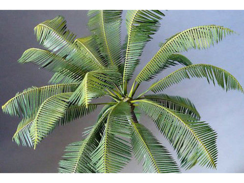 紙創り A-38 1/35 ココヤシII