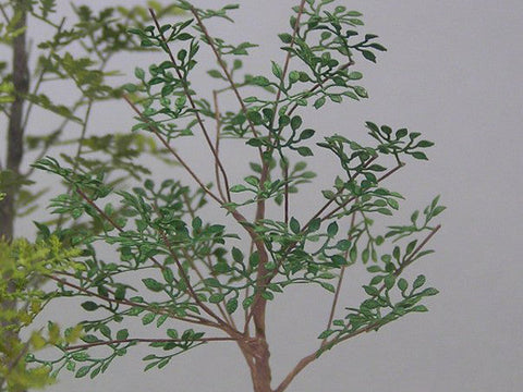 紙創り A-7-35 1/35 雑木