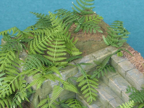 紙創り A-9 1/35 シダ類